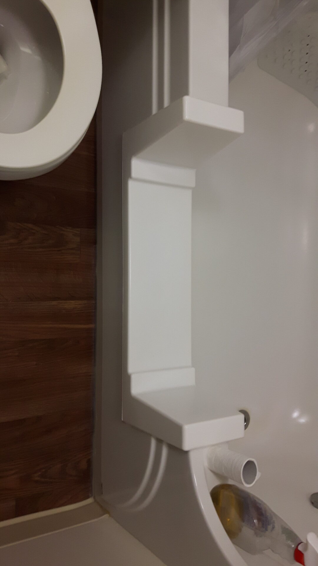 Modified bathtub with side entry insert and adjacent toilet