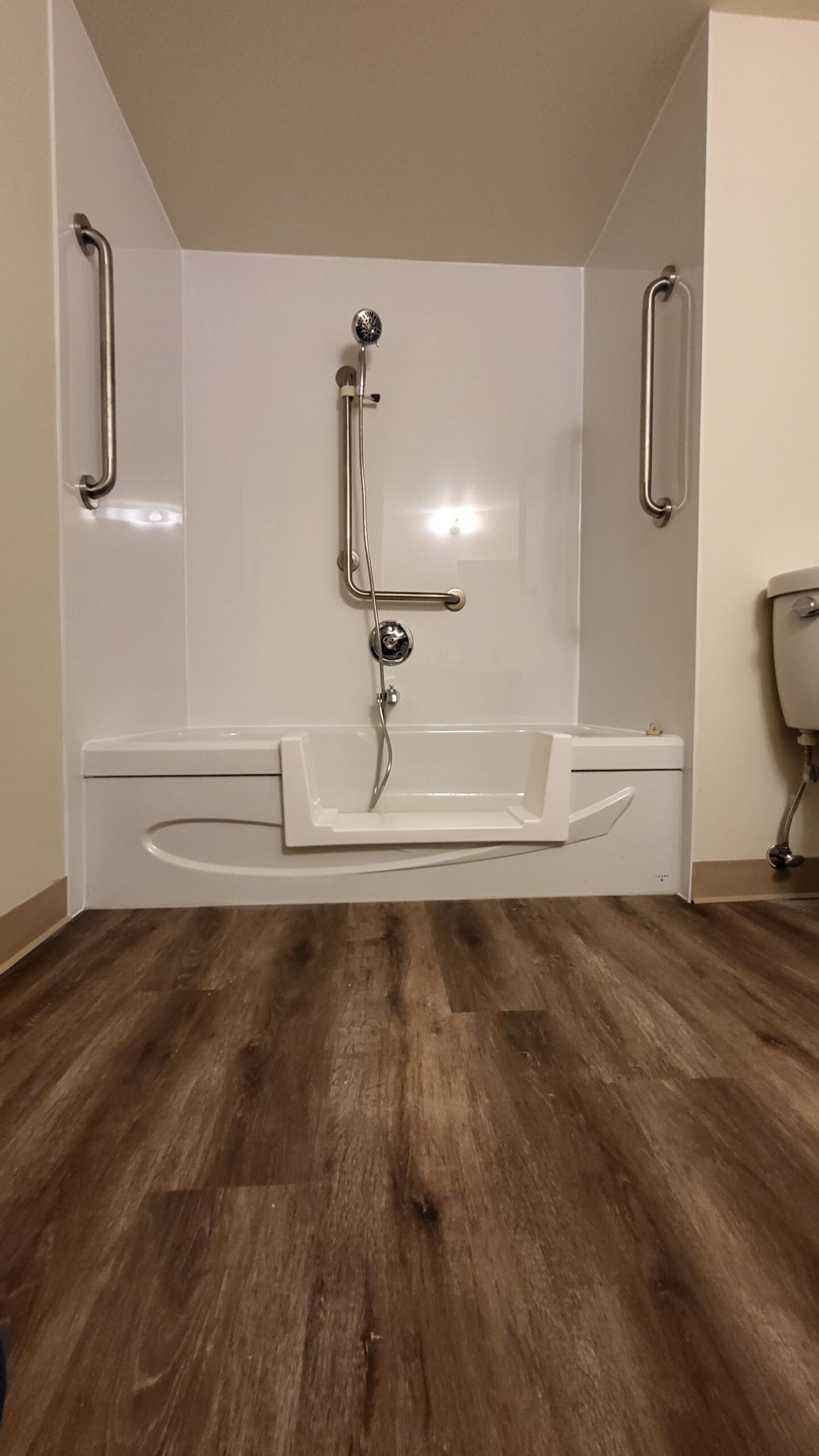 Accessible bathtub with grab bars and handheld shower